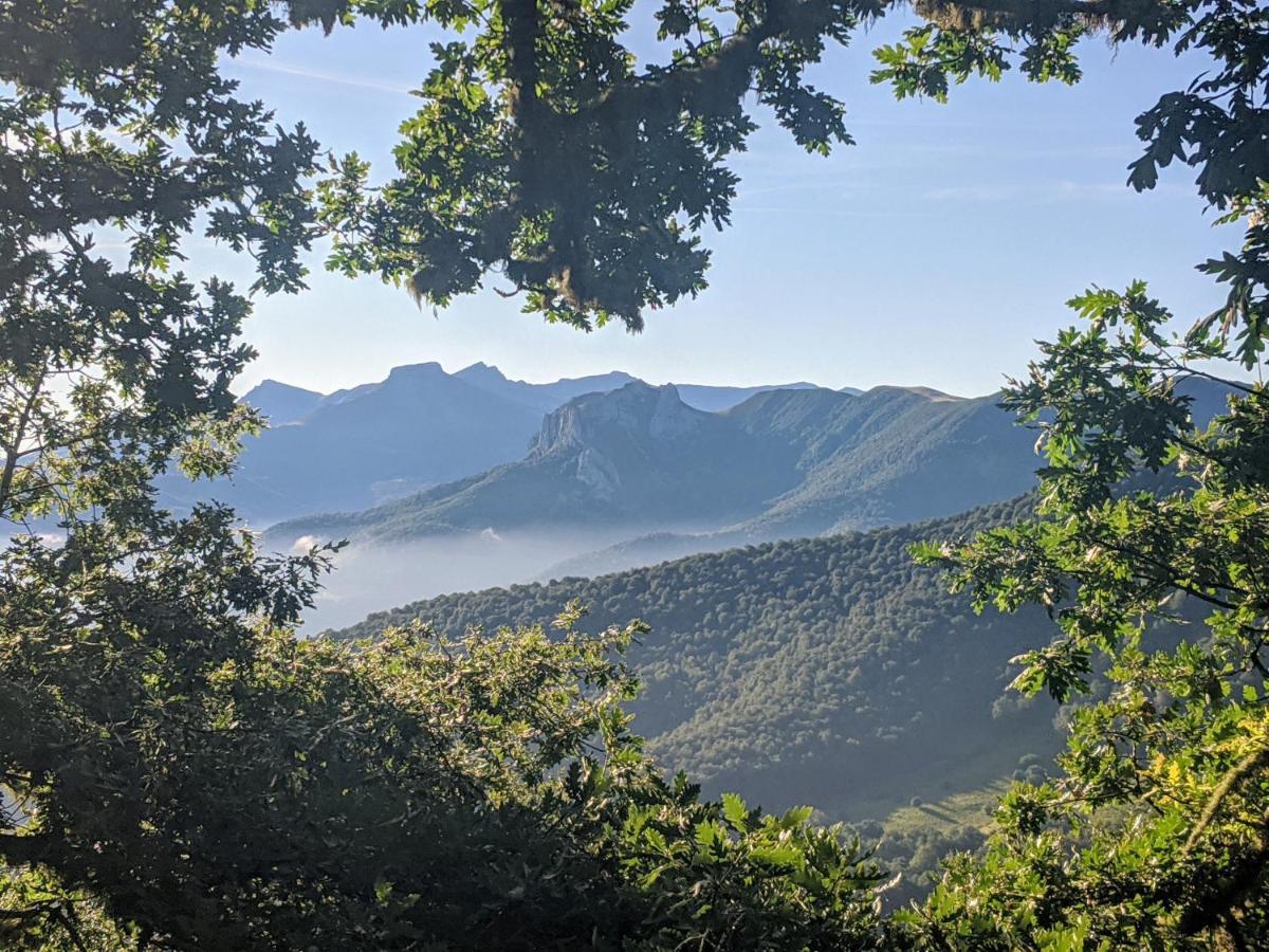 Apartamento Olmares Picos De Europa - 4 Personas Lomeña Екстериор снимка